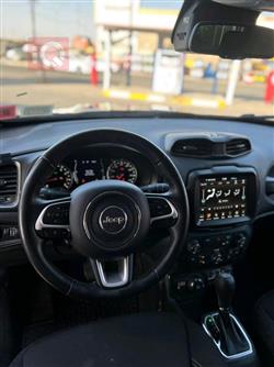 جيب رينيجيد